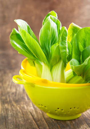 Fresh bok choyの写真素材