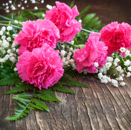  Pink Carnation on wooden backgroundの写真素材