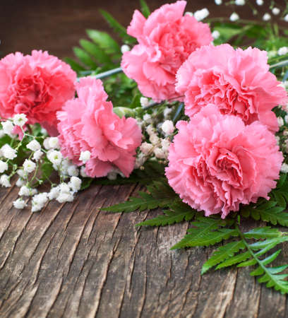  Pink Carnation on wooden backgroundの写真素材