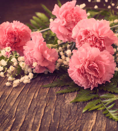  Pink Carnation on wooden backgroundの写真素材