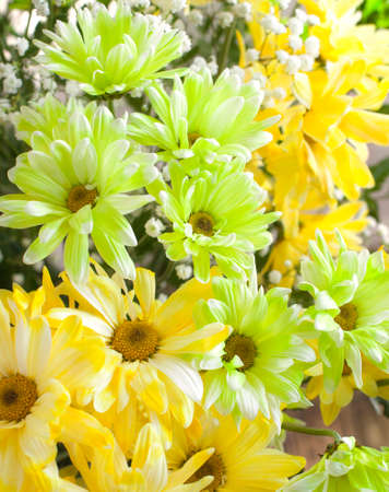 Bouquet of flowersの写真素材