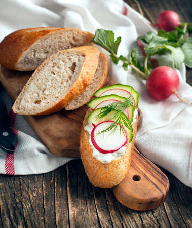Fresh bread with Cottage cheese, radish and cucumberの写真素材