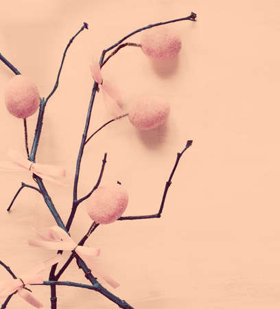Easter eggs hanging on a branch  Toned imageの写真素材