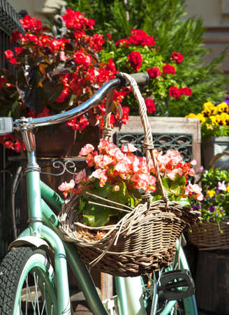 Old bicycle with a bucket of colorful flowersの写真素材