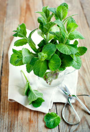 Fresh mint