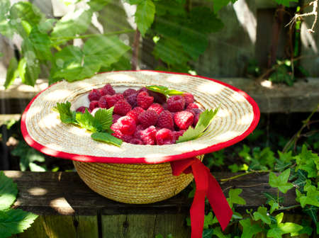 Fresh organic raspberry in straw hatの写真素材