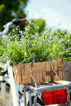 Bicycle with a bucket of summer blue flowers  Selective focusの写真素材