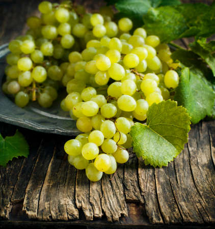 Grapes on vintage plateの写真素材