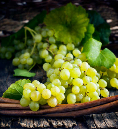 Fresh grapesの写真素材