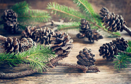 Pine cones on wooden background. Selective focusの写真素材
