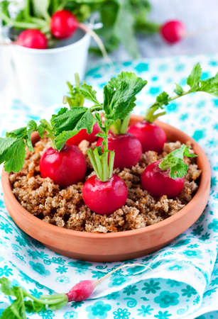 Appetizer with radish and cream cheeseの写真素材