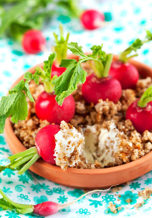 Appetizer with radish and cream cheeseの写真素材