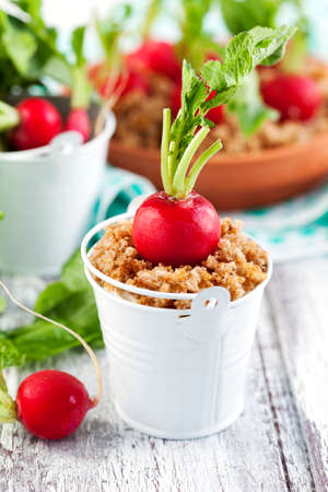 Appetizer with radish and cream cheeseの写真素材
