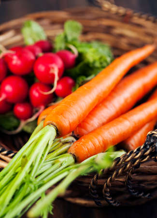 Fresh carrots and radish in the basket. Selective focus. Shallow depth of fieldの写真素材