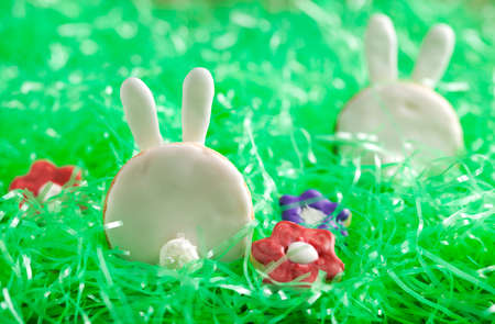 Easter bunny cookies. Shortbread cookies.の写真素材