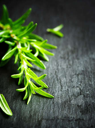 Fresh rosemary on a black backgroundの写真素材