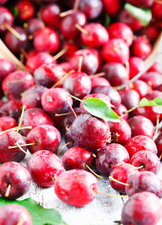 Crab apples on wooden backgroundの写真素材