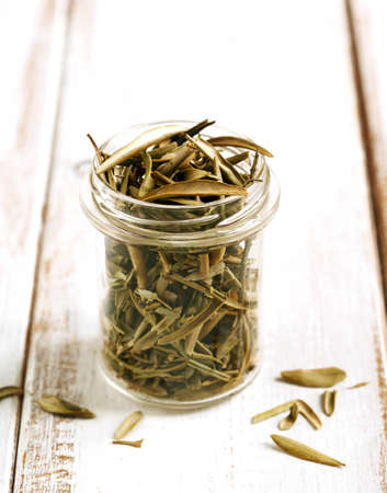 Dry olive leavesの写真素材