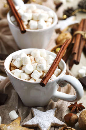 Hot chocolate with marshmallows and cinnamon, top view.の写真素材