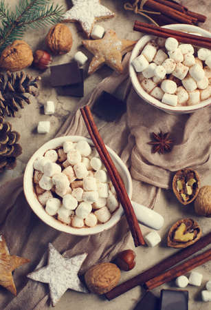 Hot chocolate with marshmallows and cinnamon, top view.の写真素材