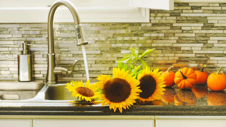 Sunflowers in kitchen sinkの写真素材