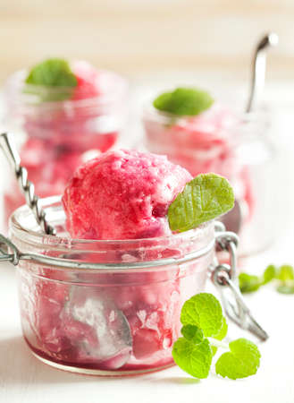 Berry ice creamの写真素材