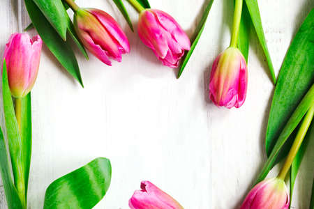 Spring tulips frame on white wooden background, top viewの写真素材