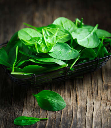 Fresh baby spinach の写真素材
