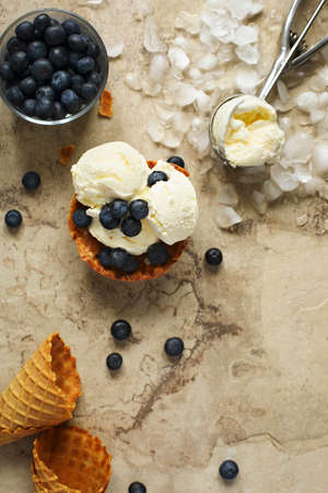 Vanilla ice cream with fresh blueberries, top view, copy spaceの写真素材