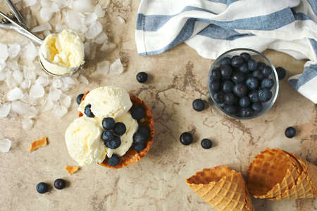 Vanilla ice cream with fresh blueberries, top viewの写真素材
