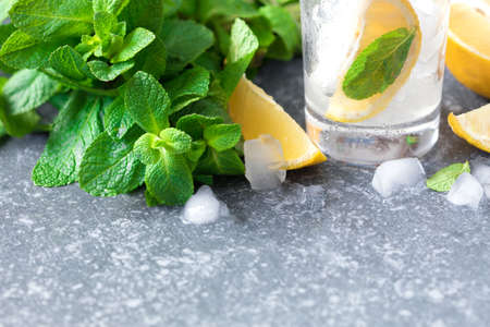 Fresh mint and glass of iced water with lemon and mintの写真素材