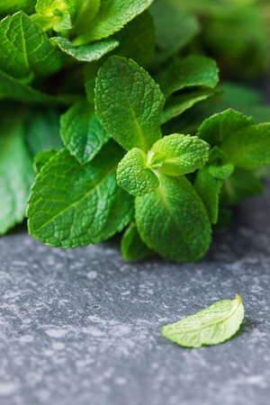 Fresh mint. Bunch of Fresh green organic mint leaf on grey stoneの写真素材