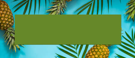 Background with blank sheet for your text or design, pineapples and leaves, copy spaceの写真素材