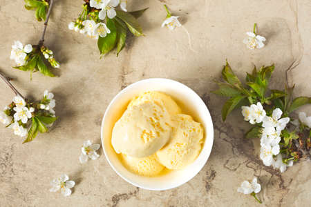 Vanilla ice cream in bowl, top viewの写真素材