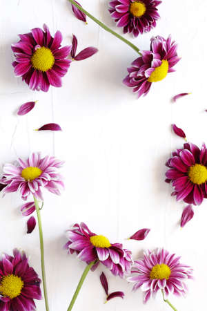 Flowers frame background, copy spaceの写真素材
