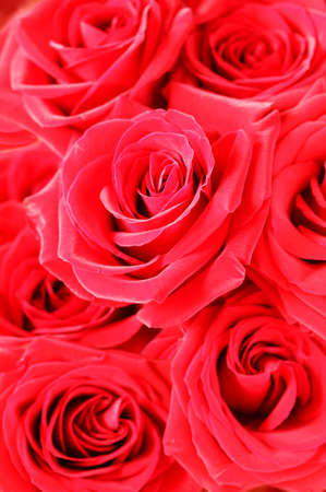 Bouquet of fresh red roses, flower bright background.の写真素材