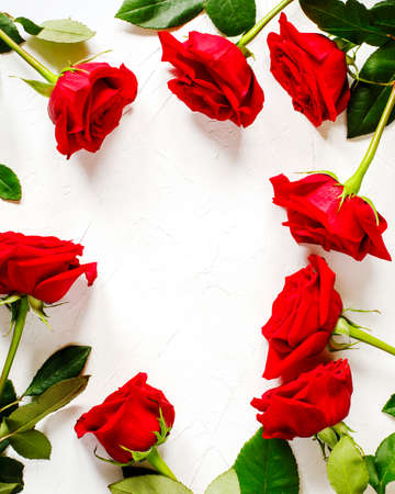 Frame of fresh red roses on white background with copy spaceの写真素材