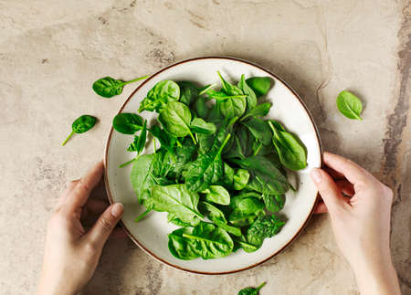 Woman's hands holding a plate with fresh spinach, top viewの写真素材