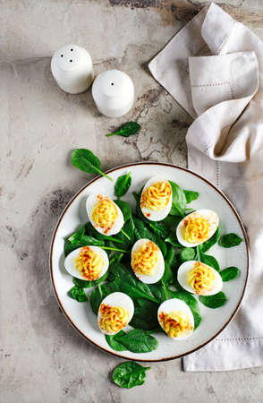 Deviled Eggs with Paprika as an Appetizer, top viewの写真素材