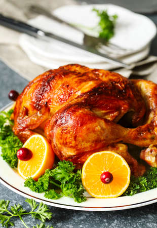 Roasted chicken served with citrus and cranberry on plateの写真素材