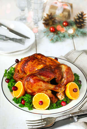 Roasted chicken served with citrus and cranberry on plateの写真素材