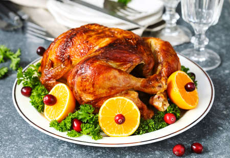 Roasted chicken served with citrus and cranberry on plateの写真素材