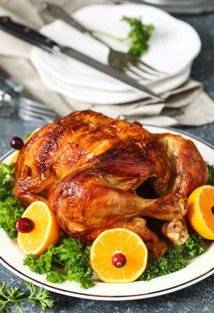 Roasted chicken served with citrus and cranberry on plateの写真素材