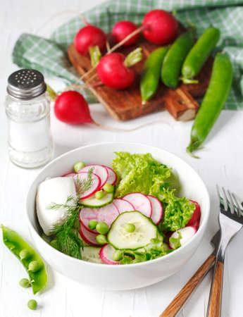 Spring vegetable salad with radish, cucumber and green peasの写真素材