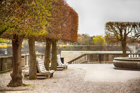 Benches under the trees in the park in Niagara Fallsの写真素材