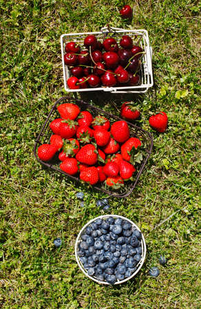 Various fresh summer berries, top viewの写真素材