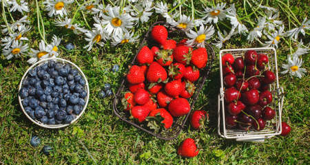 Various fresh summer berriesの写真素材