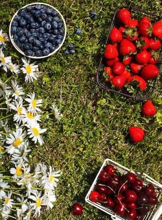 Various fresh summer berries, top viewの写真素材