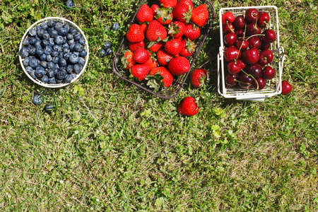 Various fresh summer berriesの写真素材