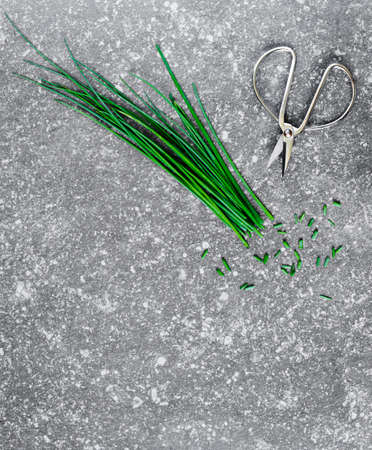 Bunch of chives on stone background, copy space, top viewの写真素材
